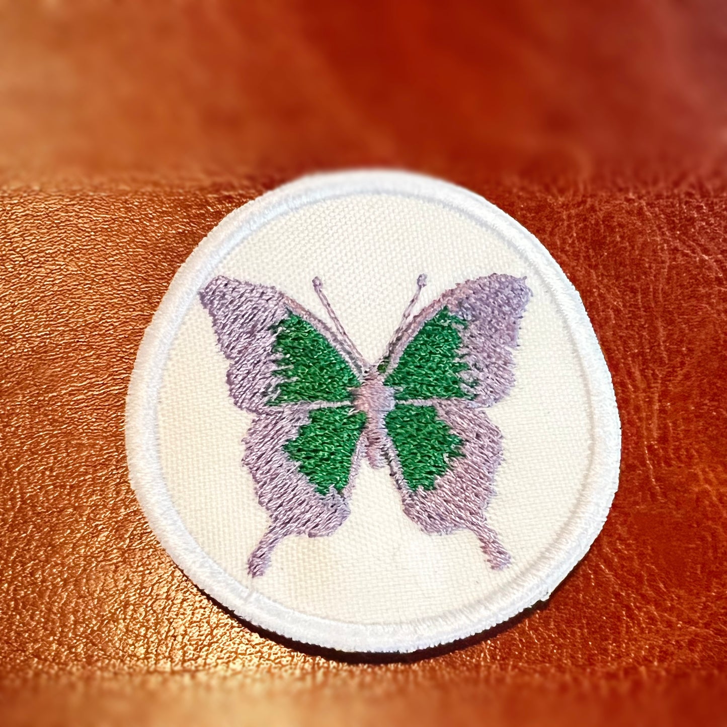 Butterfly image 3