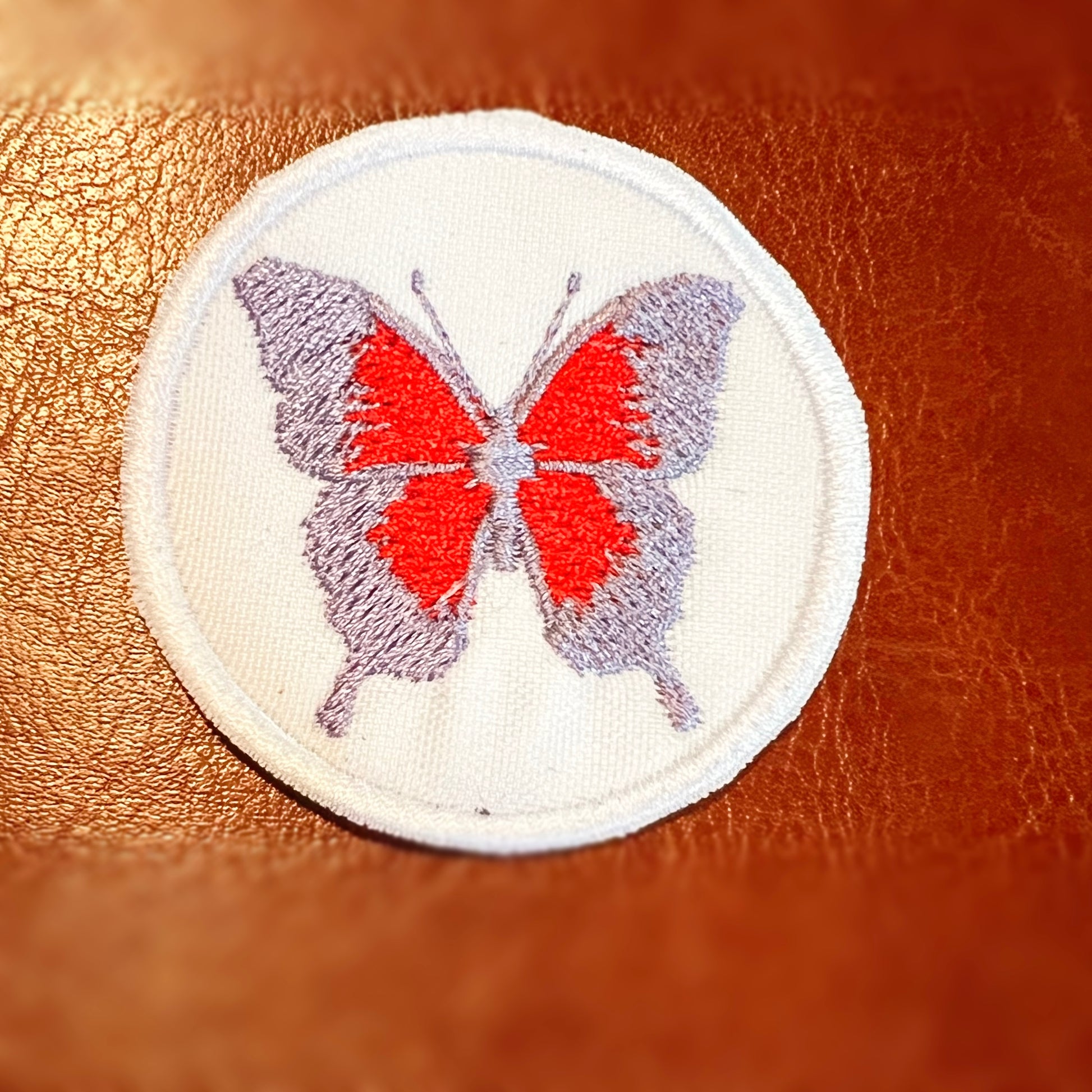 Butterfly  image 2