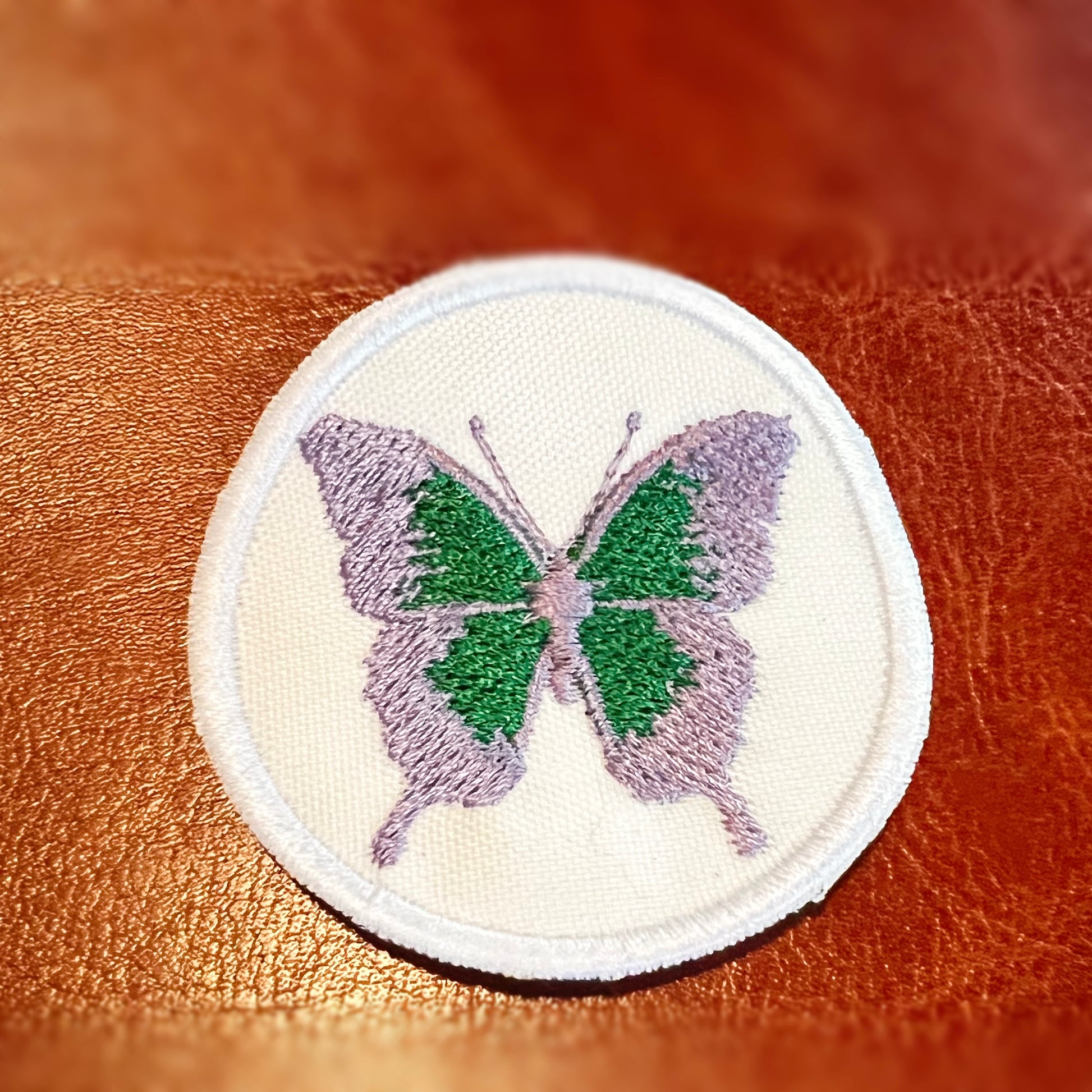 Butterfly  image 3